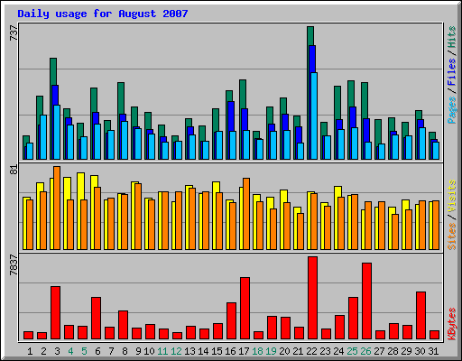 Daily usage for August 2007