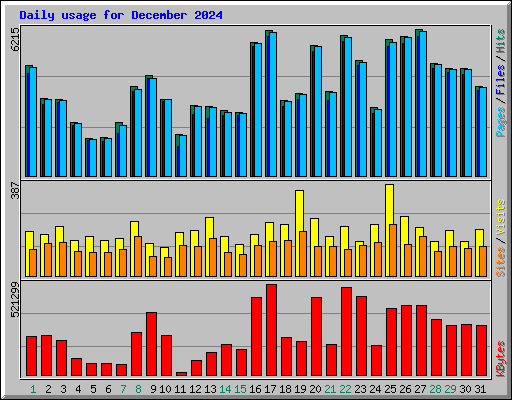 Daily usage for December 2024