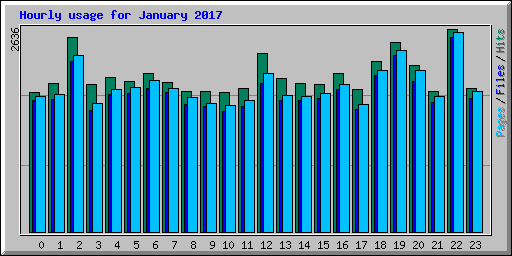 Hourly usage for January 2017