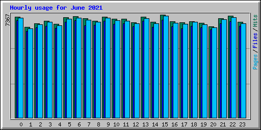 Hourly usage for June 2021