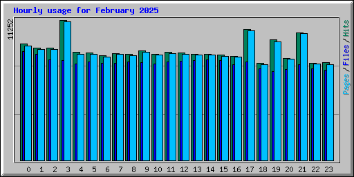 Hourly usage for February 2025