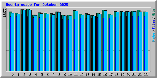 Hourly usage for October 2025