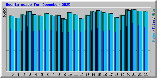 Hourly usage for December 2025