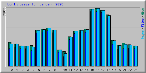 Hourly usage for January 2026