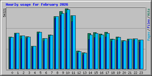 Hourly usage for February 2026